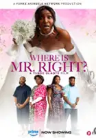 plakat filmu Where is Mr Right