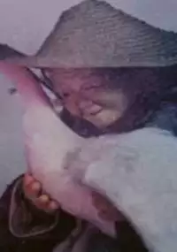 Plakat filmu Pióra żurawia