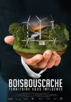 plakat filmu Boisbouscache