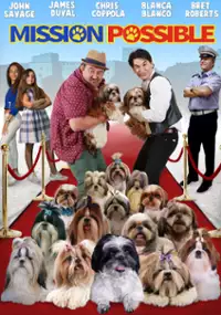 Plakat filmu Mission Possible