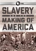 Jordan Brown / Slavery and the Making of America