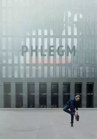 Plakat filmu Flegma