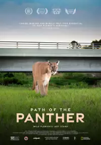 Plakat filmu Uratować pumy