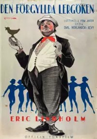 Plakat filmu Den Förgyllda lergöken
