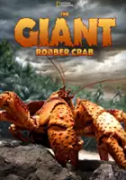 plakat filmu The Giant Robber Crab