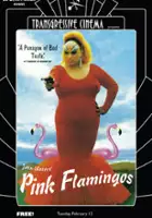 Różowe flamingi