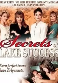 Plakat serialu The Secrets of Lake Success