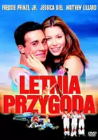 plakat filmu Letnia przygoda