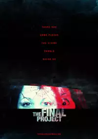Plakat filmu The Final Project