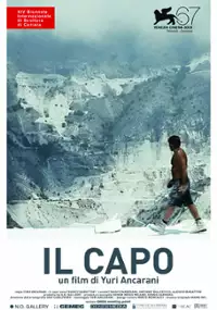 Plakat filmu Szef