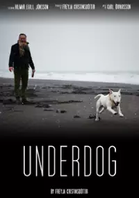 Plakat filmu Rjómi