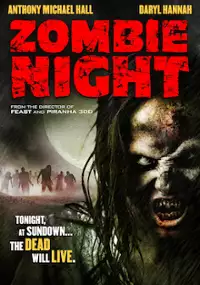 Plakat filmu Noc zombie