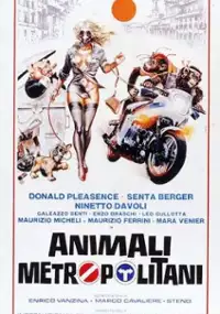 Plakat filmu Zwierzęta miejskie