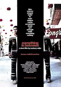 Plakat filmu Something In Between