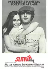 Plakat filmu Śliska sprawa