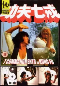 Plakat filmu Gong fu qi jie