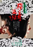 Teruo Matsuyama / Sakura no Mori no Mankai no Shita