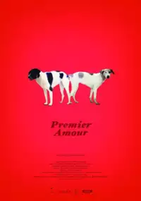 Plakat filmu Protos erotas