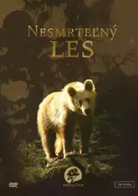 Plakat filmu Tajomné Karpaty - Nesmrteľný les