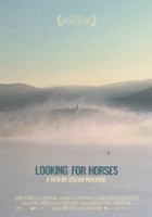 plakat filmu Looking for Horses