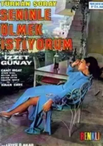 Plakat filmu Seninle olmek istiyorum