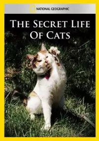 Plakat filmu The Secret Life of Cats