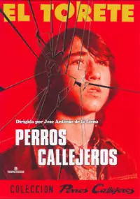 Plakat filmu Perros callejeros