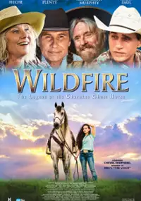 Plakat filmu Wildfire