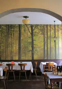Plakat filmu Podróż do lasu