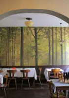plakat filmuPodróż do lasu