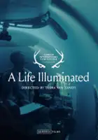 Eileen Meyer / Wszystko, co się świeci