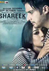 Plakat filmu Shareek