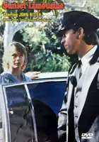 plakat filmu Słoneczna limuzyna