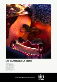 Plakat filmu Łzy Sekwany
