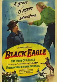 Plakat filmu Black Eagle
