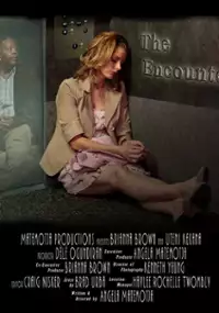 Plakat filmu The Encounter