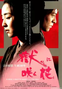 Plakat filmu Hitoya ni saku hana