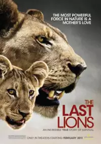 Plakat filmu The Last Lions