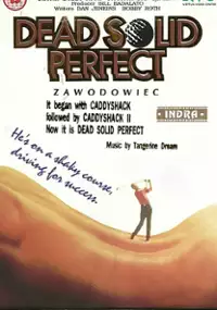 Plakat filmu Zawodowiec