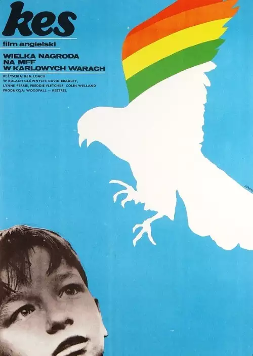 plakat filmu Kes