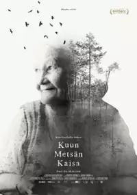 Plakat filmu Zaczarowany las Kaisy