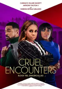 Plakat filmu Cruel Encounters