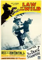 plakat filmu Law of the Wild
