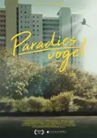 Jannik Weisse / Rajski ptak