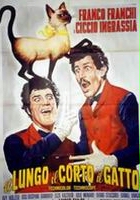 plakat filmu Il lungo, il corto, il gatto