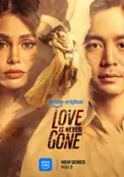 plakat serialu Love Is Never Gone