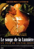 plakat filmuSłońce pośr&oacute;d liści pigwy