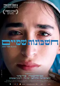 Plakat filmu Hashbonot shmi'im