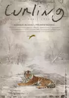 plakat filmuCurling