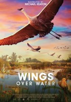 plakat filmu Wings Over Water